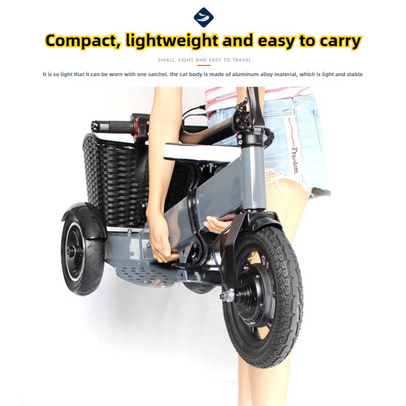 Adult Electric Tricycle Portab - đánh giá và giá Folding Electric Scooter
